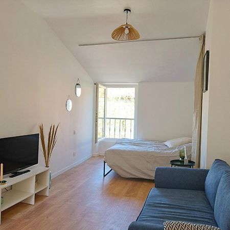 Cosy Studio - Heart Of Millau Apartment ภายนอก รูปภาพ